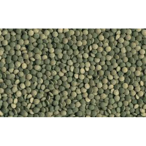 Tetra Pleco Spirulina Wafers 20 гр