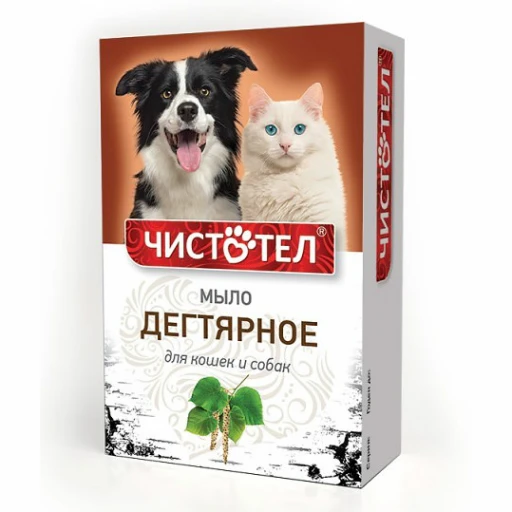 Мыло ЧИСТОТЕЛ дегтяр 80гр/100