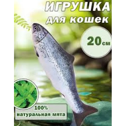 рыба Форель с мятой Чистый котик